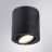 Потолочный светильник Arte Lamp A5559PL-1BK Fang
