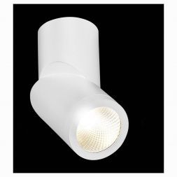 Светодиодный спот ST Luce ST650.542.10