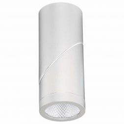 Светодиодный спот ST Luce ST650.542.10