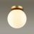 Потолочный светильник Odeon Light 4247/1C Bosco
