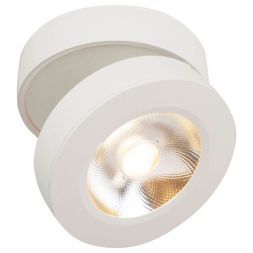 Спот Maytoni Alivar C022CL-L12W