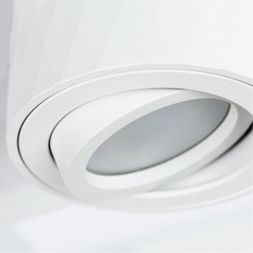 Потолочный светильник Arte Lamp A5559PL-1WH Fang
