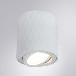 Потолочный светильник Arte Lamp A5559PL-1WH Fang