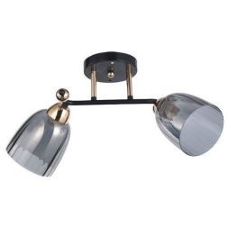 Люстра ЭкономСвет 12229/2BK+FGD GR