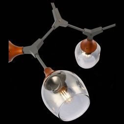 Люстра потолочная Evoluce SLE113402-05 CIOTOLLA