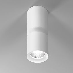 Светильник потолочный светодиодный Kayo 12W 4000К белый Elektrostandard 25048/LED