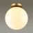 Потолочный светильник Odeon Light 4248/1C Bosco
