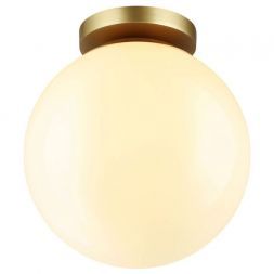 Потолочный светильник Odeon Light 4248/1C Bosco