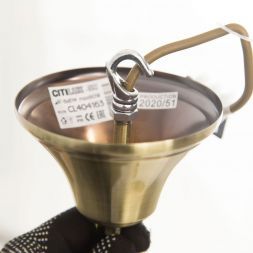 Подвесная люстра Citilux CL404183 Кармен