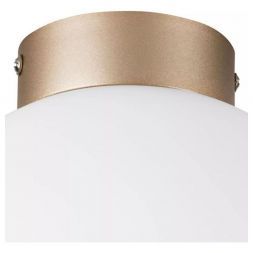 Настенно-потолочный светильник Lightstar Globo 812023