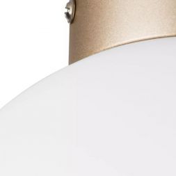 Настенно-потолочный светильник Lightstar Globo 812023