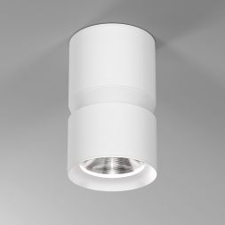 Светильник потолочный светодиодный Kayo 12W 4000К белый Elektrostandard 25049/LED