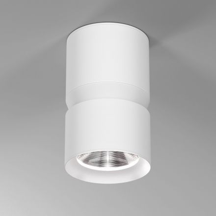 Светильник потолочный светодиодный Kayo 12W 4000К белый Elektrostandard 25049/LED
