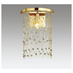 Настенный светильник Odeon Light 4844/1W Raini