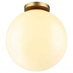 Потолочный светильник Odeon Light 4249/1C Bosco