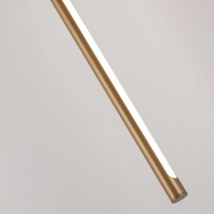 Светильник Arte Lamp Arte Lamp A2029AP-1GO