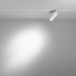 Трековый светодиодный светильник Maytoni Exility Focus LED TR032-4-5W3K-S-DS-W
