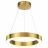 Подвесной светодиодный светильник Odeon Light 3885/25LG