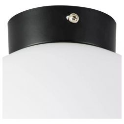 Настенно-потолочный светильник Lightstar Globo 812027