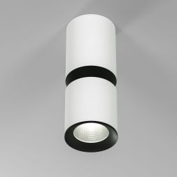 Светильник потолочный светодиодный Kayo 12W 4000К белый/чёрный Elektrostandard 25048/LED