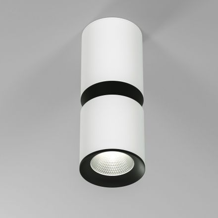 Светильник потолочный светодиодный Kayo 12W 4000К белый/чёрный Elektrostandard 25048/LED