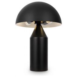 Настольная лампа Freya Eleon FR5218TL-02B1