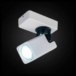 Спот Citilux CL533610
