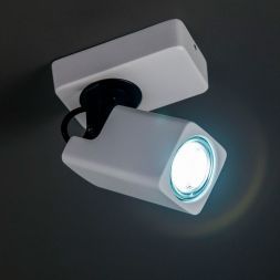 Спот Citilux CL533610