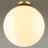 Потолочный светильник Odeon Light 4250/1C Bosco