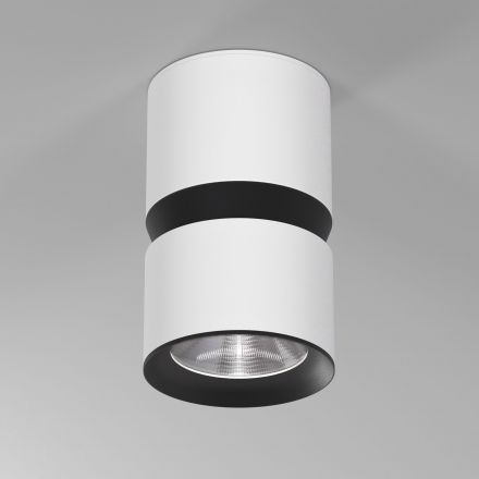 Светильник потолочный светодиодный Kayo 12W 4000К белый/чёрный Elektrostandard 25049/LED