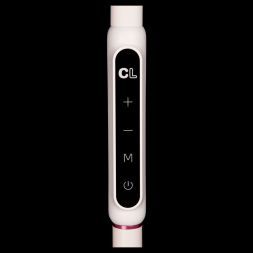 Торшер Citilux Марк CL804020