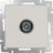 Розетка TV Werkel W1183003 слоновая кость (WL03-TV-ivory)