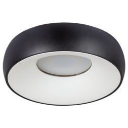 Потолочный светильник Arte Lamp A6665PL-1BK Heze