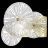 Бра ST Luce SL1657.201.01 Flero