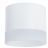 Потолочный светильник Arte Lamp A5554PL-1WH
