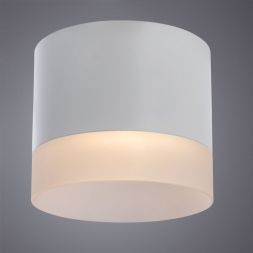 Потолочный светильник Arte Lamp A5554PL-1WH