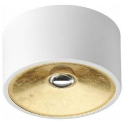 Потолочный светильник Odeon Light 3892/1C