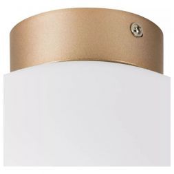 Настенно-потолочный светильник Lightstar Globo 812033