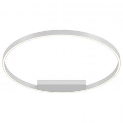 Потолочный LED светильник Maytoni MOD058CL-L50W4K
