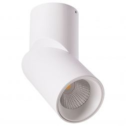Светодиодный спот Arte Lamp A7717PL-1WH