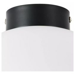 Настенно-потолочный светильник Lightstar Globo 812037