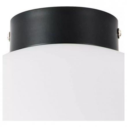 Настенно-потолочный светильник Lightstar Globo 812037