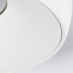 Потолочный светильник Arte Lamp A6665PL-1WH Heze