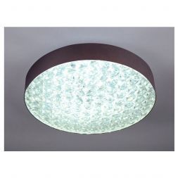 Потолочная люстра с пультом Escada 10246/1LED
