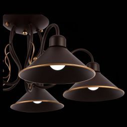 Люстра потолочная Evoluce SLE120402-05 CIOLLA