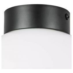 Настенно-потолочный светильник Lightstar Globo 812117