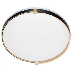 Настенно-потолочный светодиодный светильник Сонекс Pale Olidi Black 7647/DL