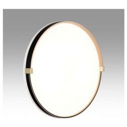 Настенно-потолочный светодиодный светильник Сонекс Pale Olidi Black 7647/DL