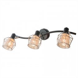 Спот Citilux CL542531