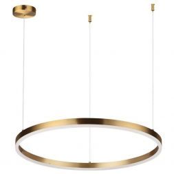 Подвесной светодиодный светильник Lumion Ledio Echo 6531/50L